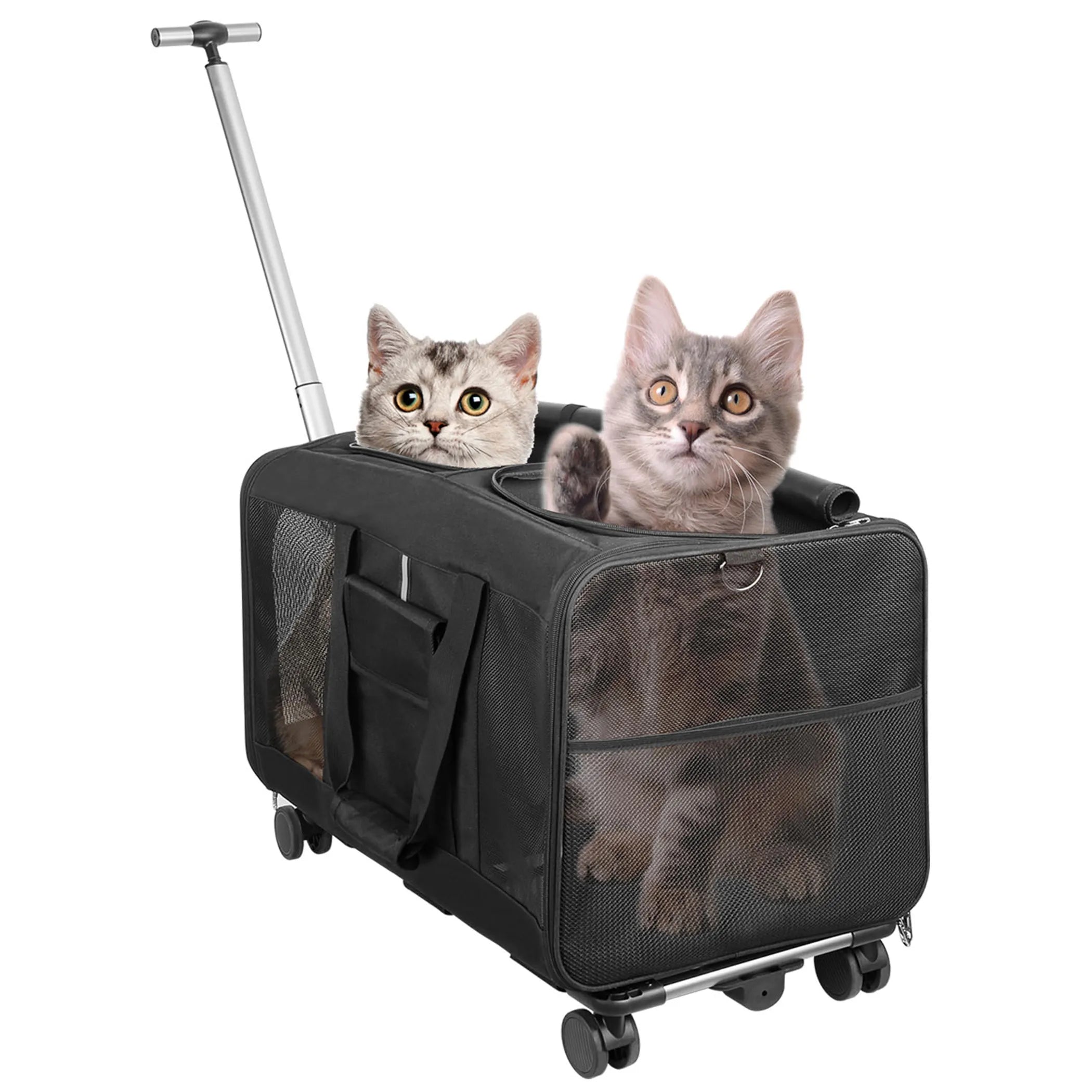 Double-Compartment Pet